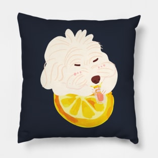 Maltipoo Drinking Orange Juice Pillow