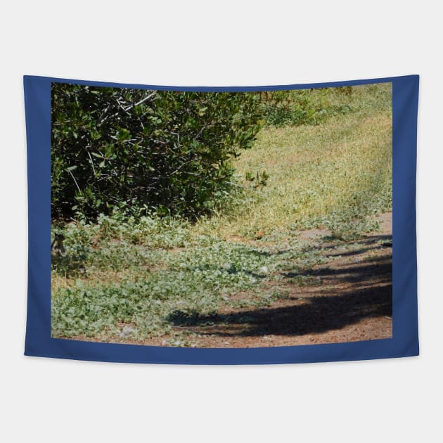 Hidden squirrel Tapestry by FriendlyComputerHelp