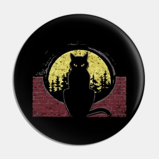 Funny cat in the dark Pin