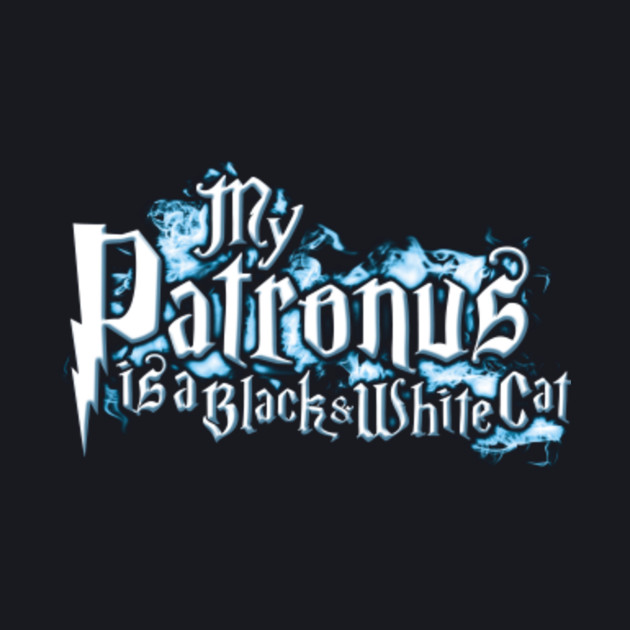 My Patronus Is A Black White Cat Blackandwhitecat Baseball T