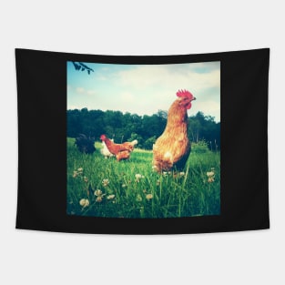 The Secret Life of Chickens Tapestry