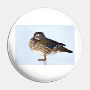 My favourite duck - Wood Duck Pin