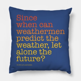 Since when can weathermen predict the weather, let alone the future? | Back to the Future Pillow