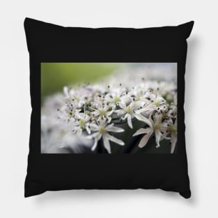 Queen Anne's Lace Pillow