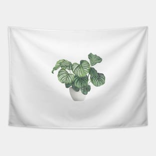 Potted Calathea Plant Tapestry