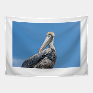 Cleaning Pelican Tapestry