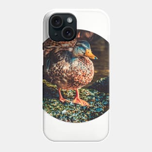 Duck on a Rock Photograph Phone Case