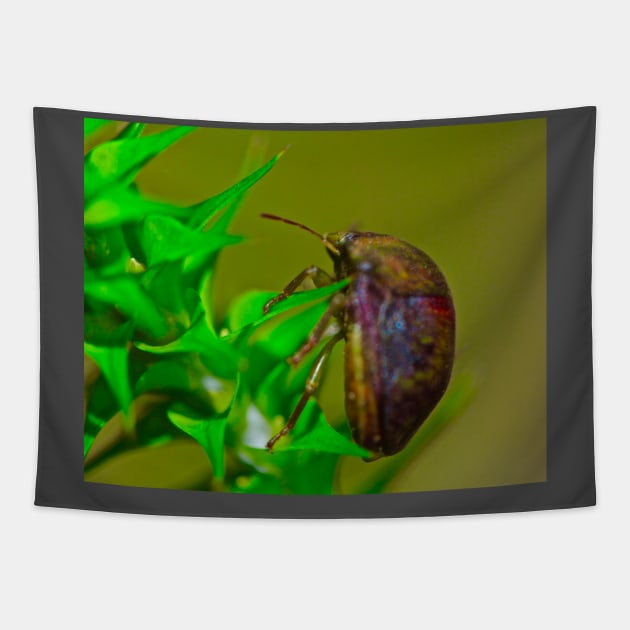 The Bug! Tapestry by Mickangelhere1