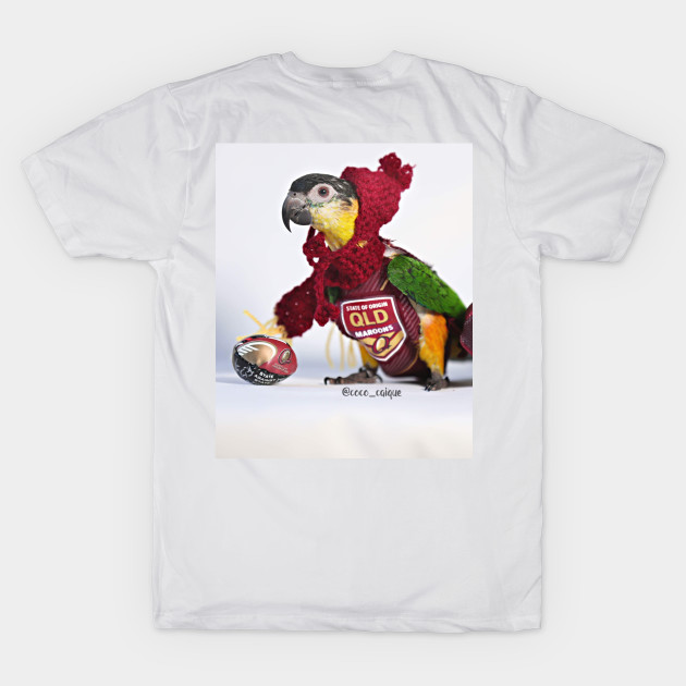Maroons State Of Origin Birb State Of Origin Queensland Qld T