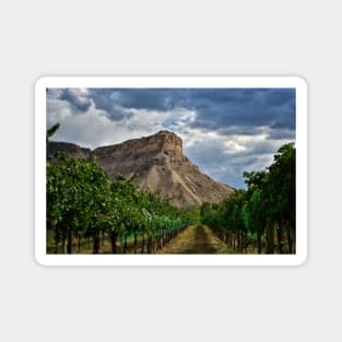 Colorado Wine Country Magnet