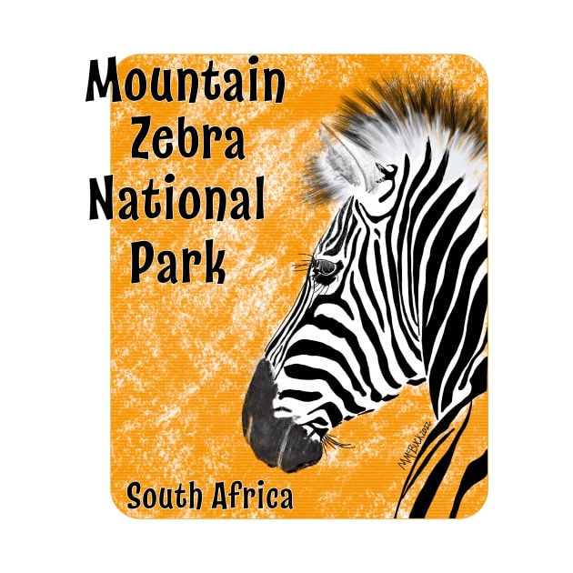 Mountain Zebra National Park, South Africa by MMcBuck