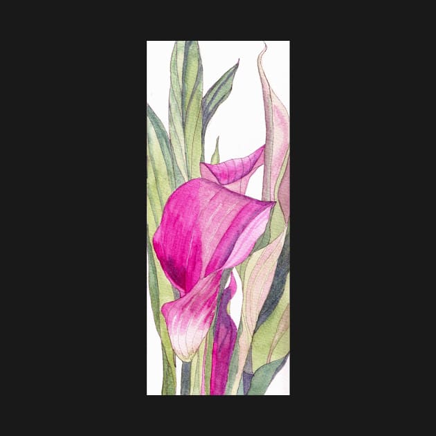 Pink Calla Lily watercolour painting by esvb