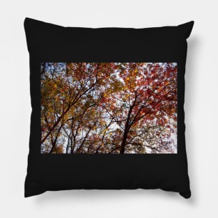 Autumn Leaves Pillow