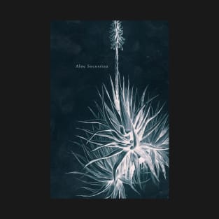 Cyanotype - Aloe Socotrina - C T-Shirt