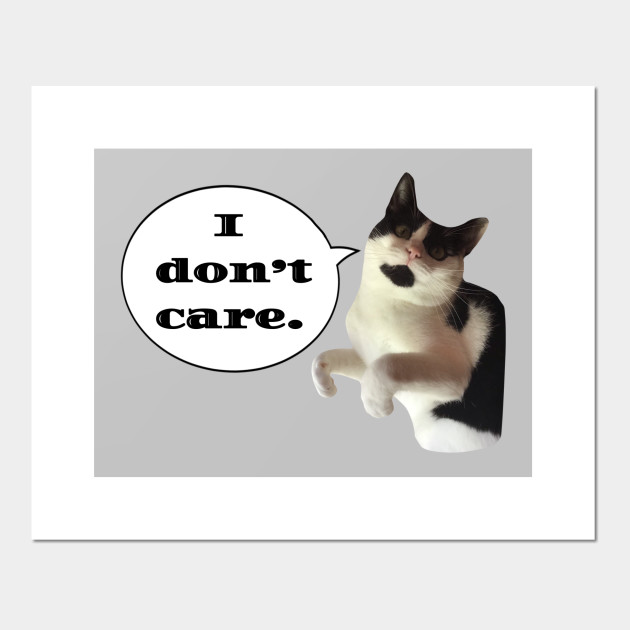 I Don T Care Cat Cats Posters And Art Prints Teepublic Au