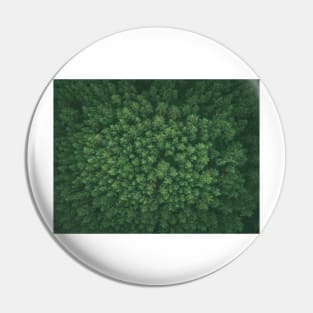 Green pine forest Pin