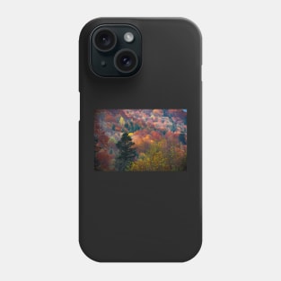 Autumn carpathian forest Phone Case