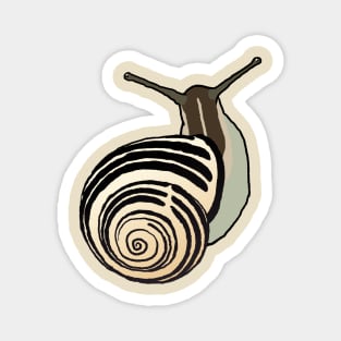 Snail Magnet