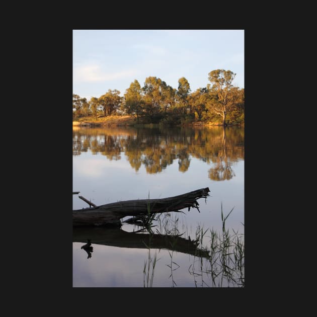 Reflections on the Murray River by Carole-Anne