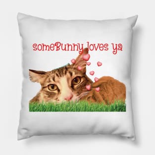 Some Bunny loves you Maine Coon cat Pillow