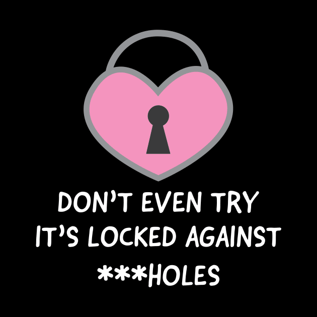 Cute pink heart lock valentine's day t-shirt- don't even try it's locked against ***holes- gift for v-day for her by ayelandco