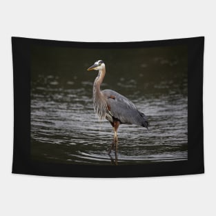 Great Blue Heron Tapestry