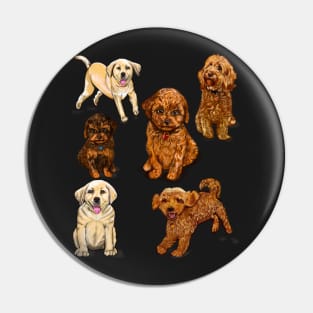 puppy, puppies, lots of puppies! cute cavalier king charles spaniel, Labrador and cavapoochon Pin