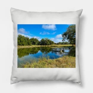 Bonham Pond Salt Plains National Wildlife Refuge by Debra Martz Pillow