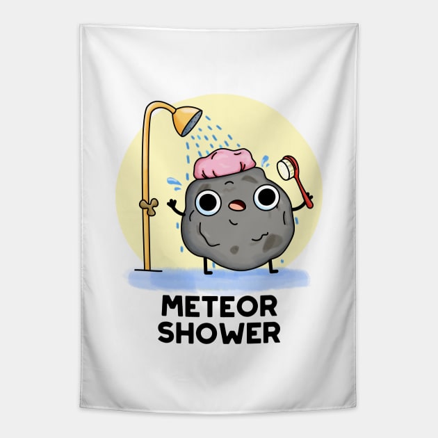 Meteor Shower Astronomy - puns are life Tapestry by punnybone