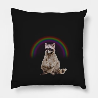 Rainbow Raccon Pillow