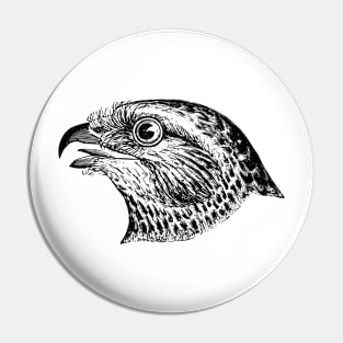 Bird Beak Eye Pin