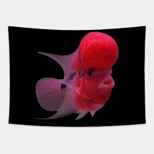 Red flowerhorn Tapestry