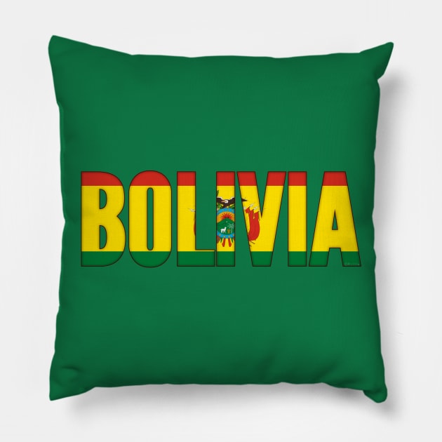 Bolivia Pillow by SeattleDesignCompany