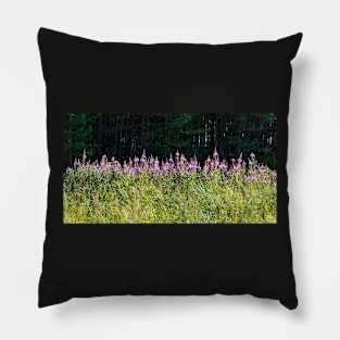 Sunlit Chamaenerion angustifolium flowers against dark shadowed forest Pillow