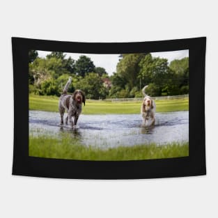 Flooded field Spinoni Tapestry