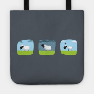 Do sheep shrink when it rains? Tote