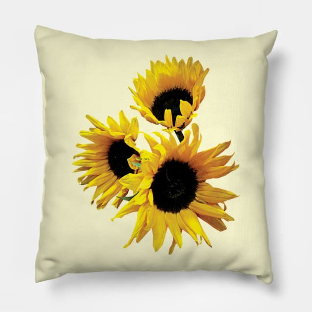 Three Yellow Sunflowers Pillow by SusanSavad