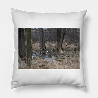 Geese on the pond Pillow