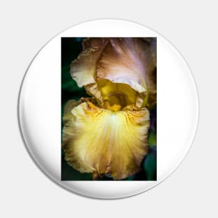 Garden Iris 1 Pin