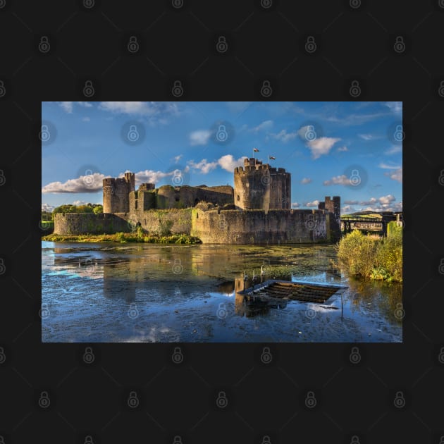 Caerphilly Castle in Wales South Facing Walls by IanWL