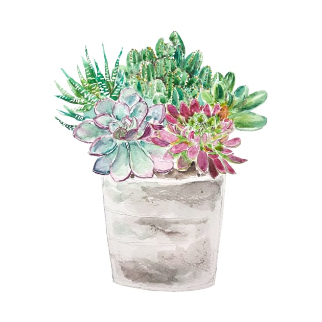 succulents and cactus in pot watercolor 2020 by colorandcolor