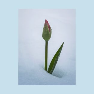 tulip under snow T-Shirt