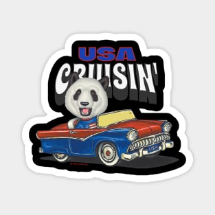 Adorable funny and cute Panda Bear is cruising through the USA while driving a vintage car Magnet