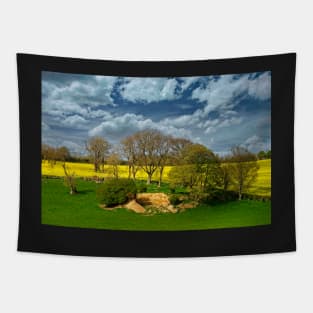 Fields, Trees and Cloudy Sky Tapestry