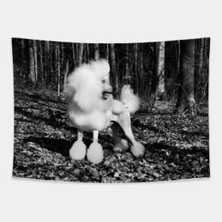 Emperor poodle / Swiss Artwork Photography Tapestry