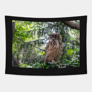 Indian eagle-owl Tapestry