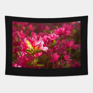 Pink Azalea Flowers Tapestry