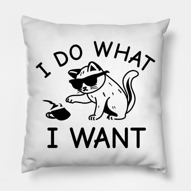 Cat I Do What I Want Pillow by VinsendDraconi