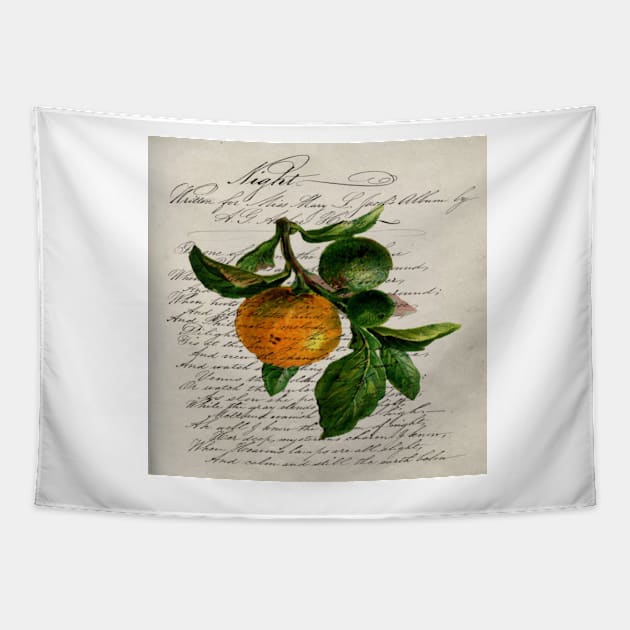 scripts Shabby French botanical print mandarin orange Tapestry by Tina