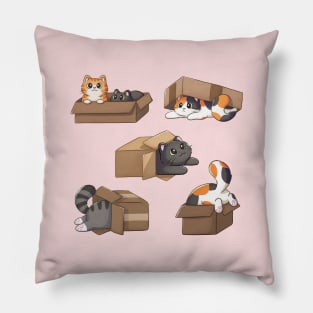 Cute Cats In Boxes Pillow